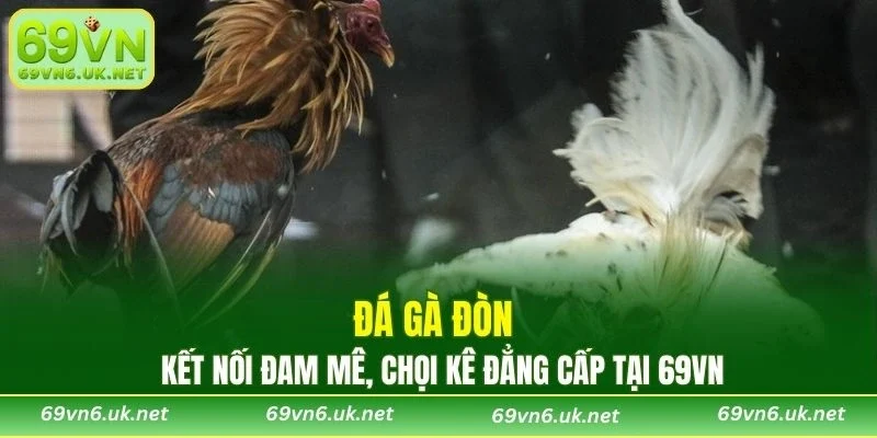 Đá Gà Đòn
